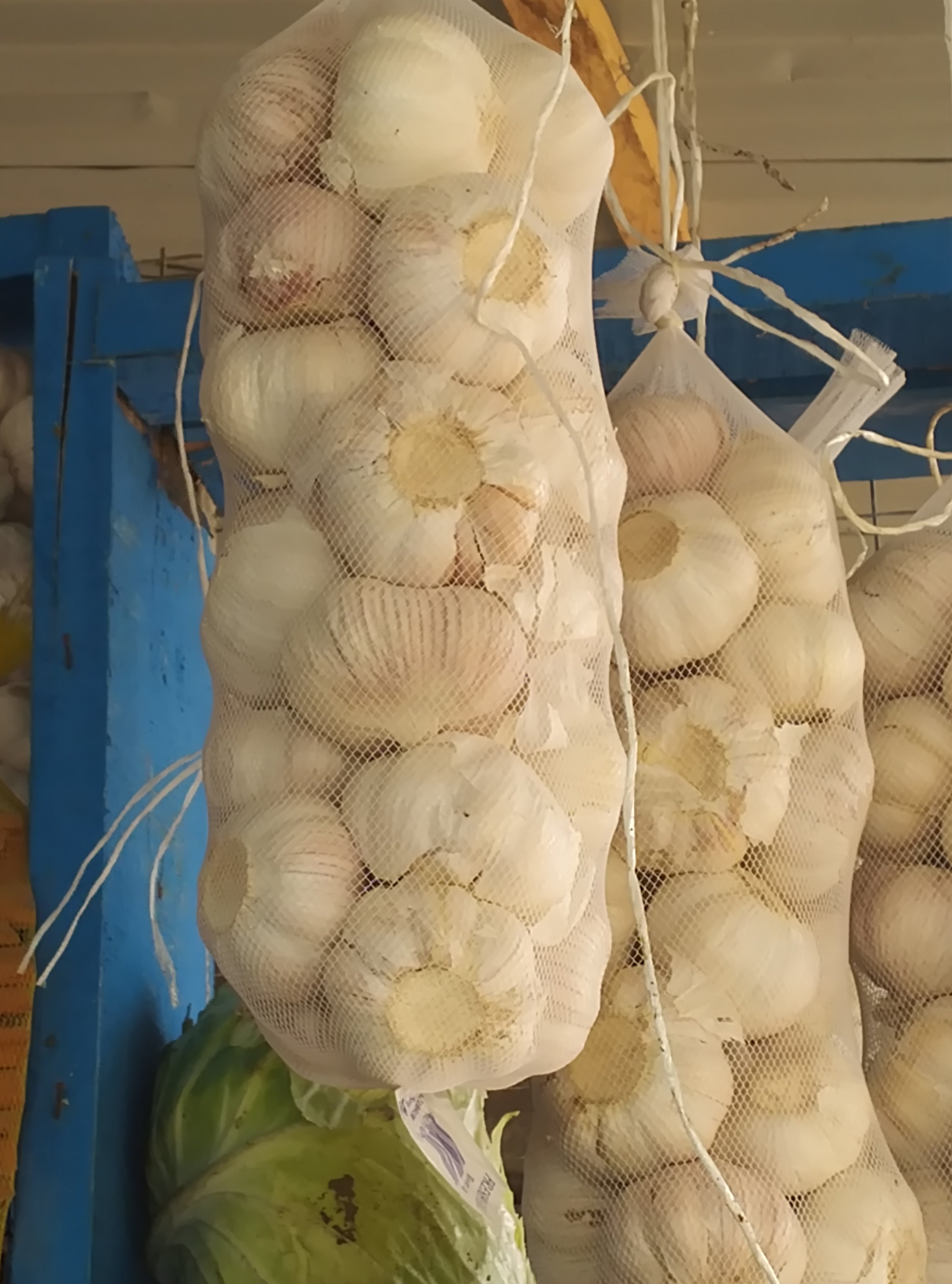 FRESH GARLIC